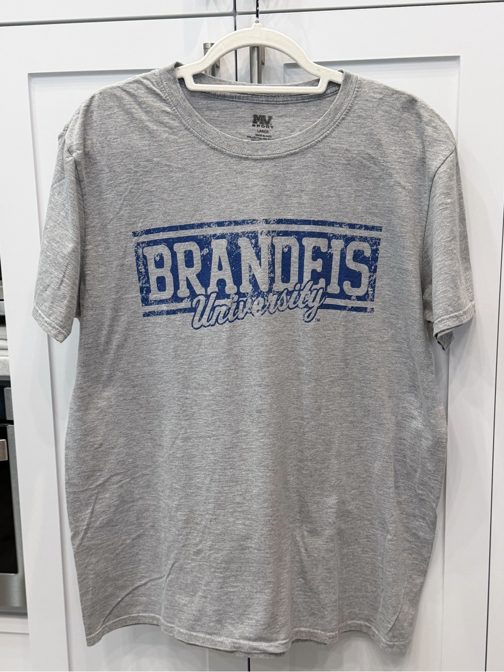 BRANDEIS University Gray Heathered Distressed Lettered Shirt Sleeve Tee